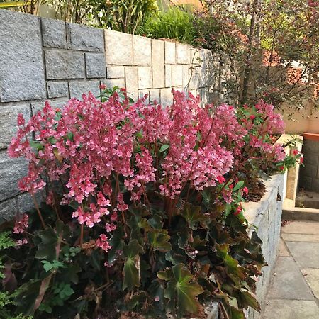 Robin Woods Homestay Sakleshpur Ngoại thất bức ảnh