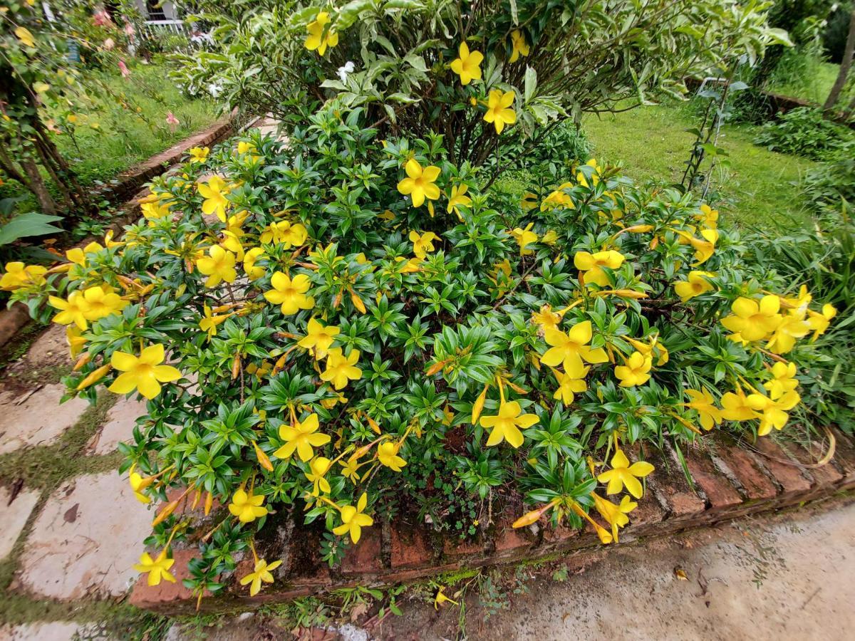 Robin Woods Homestay Sakleshpur Ngoại thất bức ảnh