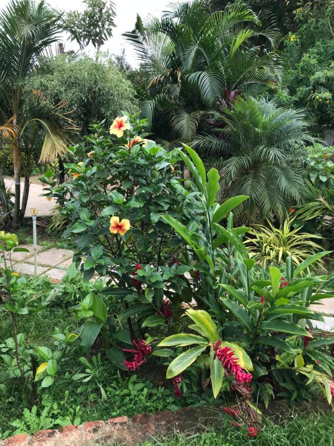 Robin Woods Homestay Sakleshpur Ngoại thất bức ảnh