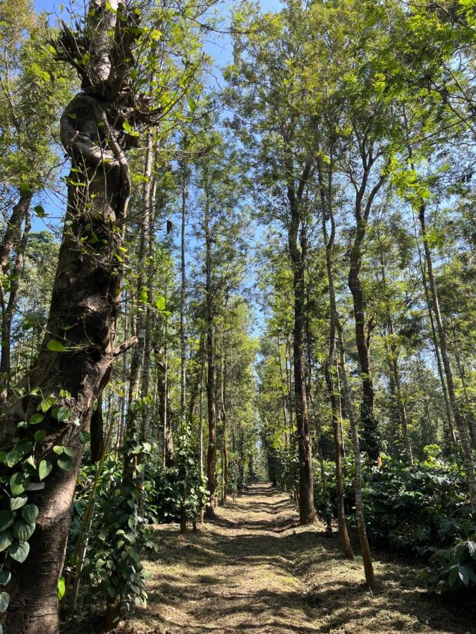 Robin Woods Homestay Sakleshpur Ngoại thất bức ảnh